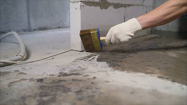 Top rated local Waterproofing specialists in Naval Anacost Annex, DC